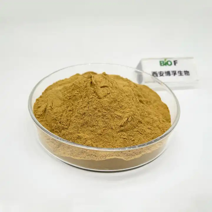 High Quality Portulaca Oleracea Extract Powder Natural Nutrition Supplements
