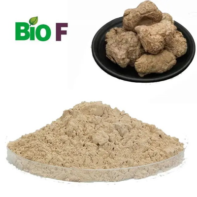 Organic Tiger Milk Mushroom Powder Natural Mushroom Extract Powder